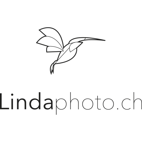 Linda Photography Votre partenaire pour tous vos projets photographiques